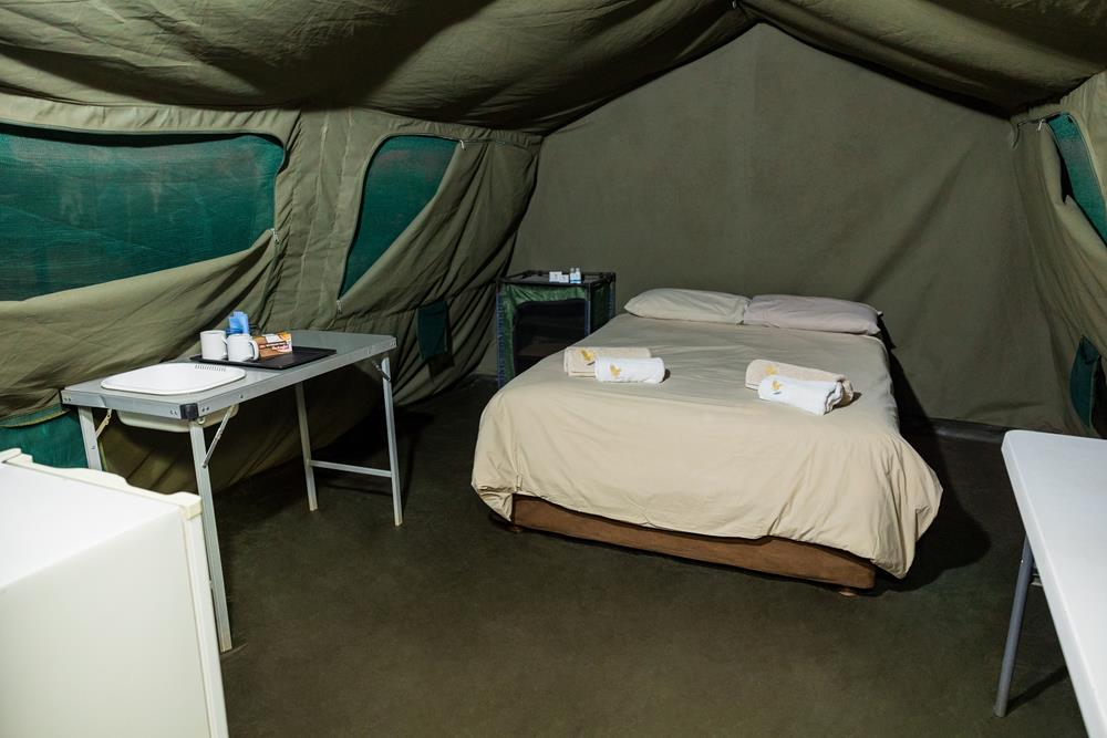 Accommodation at Phalaborwa Safari Park, A Forever Resort
