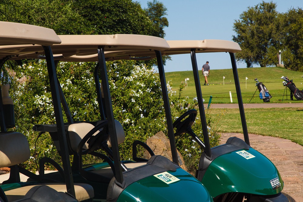 Entertainment at Phalaborwa Safari Park, A Forever Resort